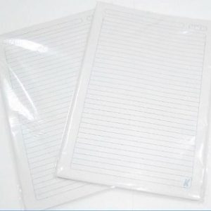 Hojas Ponchadas Paquete de 100 Hojas